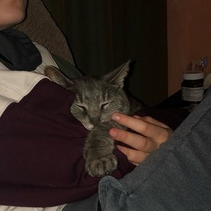 Meet your Posher, Matt